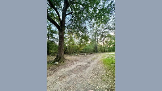 Splendora null-story, null-bed 536,236 County Road 373 Road-idx