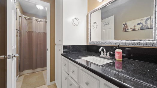 Splendora 1-story, 4-bed 309 County Road 3663-idx