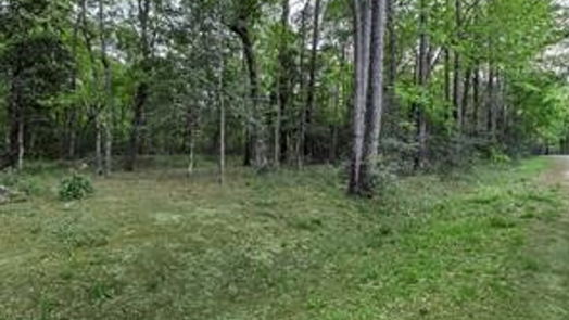 Splendora null-story, null-bed 000 Hill and Dale Terrace Drive-idx