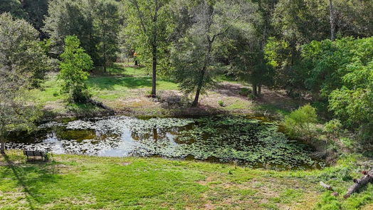 Splendora 1-story, 3-bed 15012 Duke Road-idx