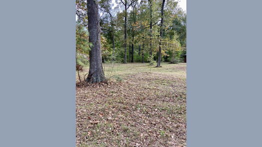 Splendora 1-story, 3-bed 27546 Northgate 50 Lane-idx