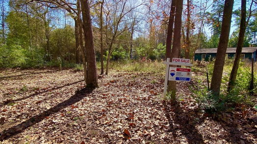 Splendora null-story, null-bed 25906 Ruddick Lane-idx