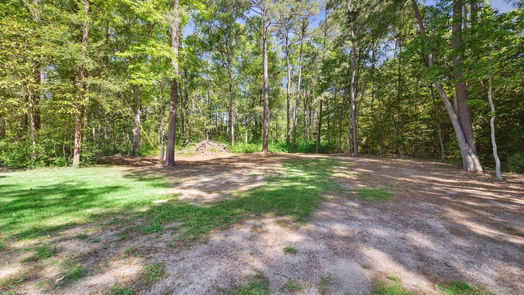 Splendora null-story, null-bed 187 County Road 3669-idx