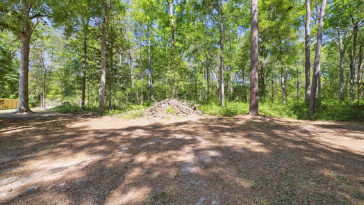 Splendora null-story, null-bed 187 County Road 3669-idx