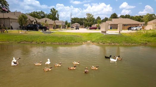 Splendora 2-story, 4-bed 15324 Willie Mays Court-idx