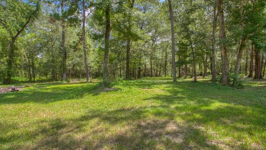 Splendora 1-story, 3-bed 128 County Road 3709B-idx