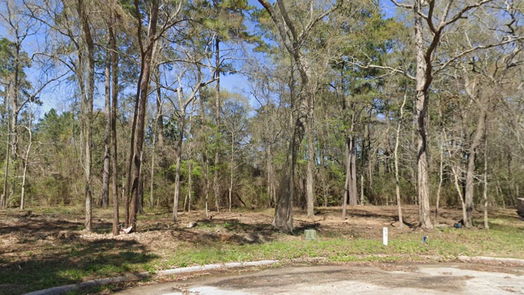 Splendora null-story, null-bed 25789 Tupelo Circle-idx