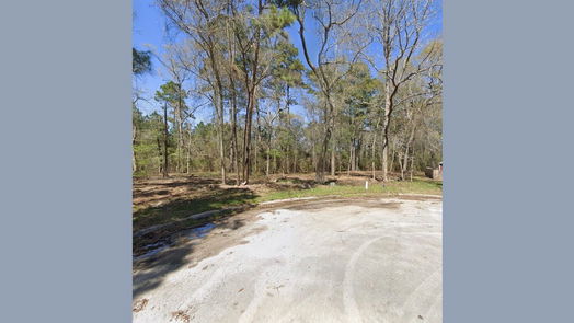 Splendora null-story, null-bed 25789 Tupelo Circle-idx