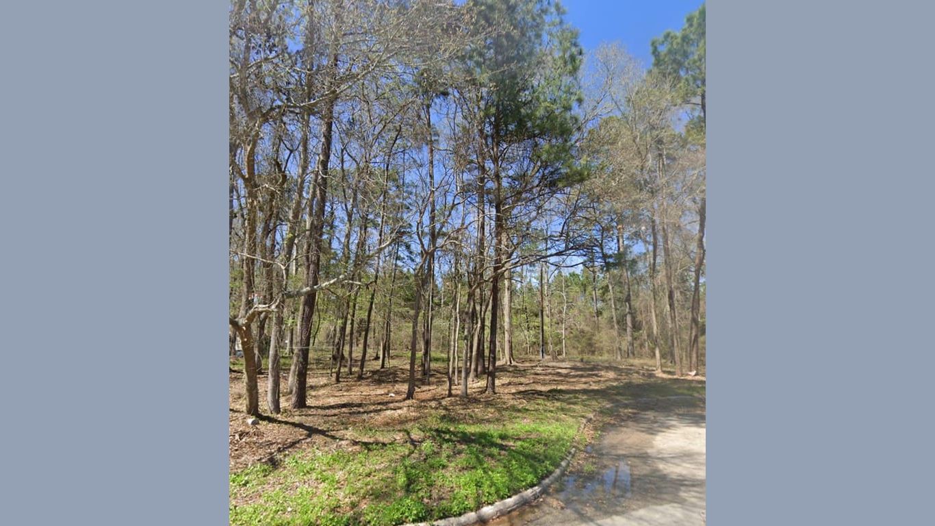 Splendora null-story, null-bed 25785 Tupelo Circle-idx