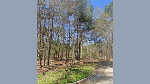 Splendora null-story, null-bed 25785 Tupelo Circle-idx