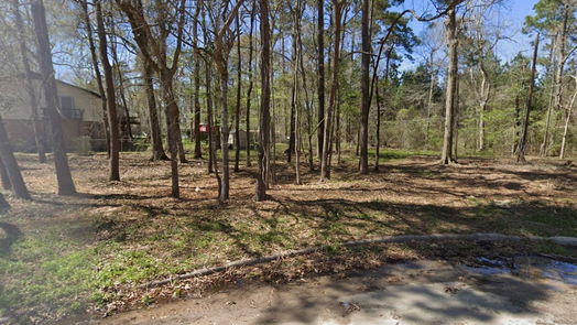 Splendora null-story, null-bed 25785 Tupelo Circle-idx