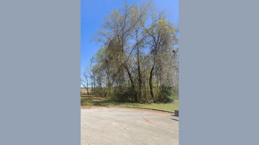 Splendora null-story, null-bed 25784 Tupelo Circle-idx