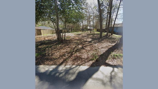 Splendora null-story, null-bed 25724 Chestnut Lane-idx