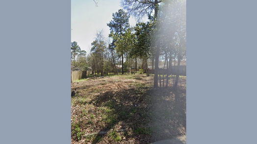 Splendora null-story, null-bed 25724 Chestnut Lane-idx