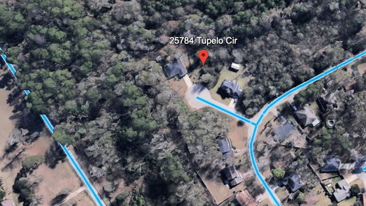 Splendora null-story, null-bed 25784 Tupelo Circle-idx