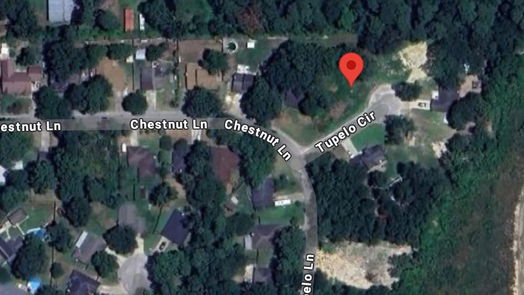Splendora null-story, null-bed 25785 Tupelo Circle-idx