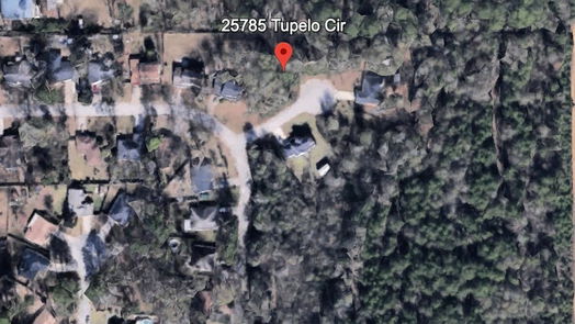 Splendora null-story, null-bed 25785 Tupelo Circle-idx