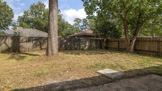 Spring 1-story, 4-bed 23138 Birnam Wood Boulevard-idx