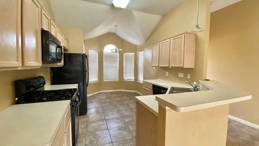 Spring 1-story, 3-bed 3210 Pine Dust Lane-idx
