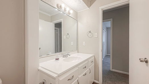 Spring 1-story, 4-bed 23002 Bayleaf Drive-idx