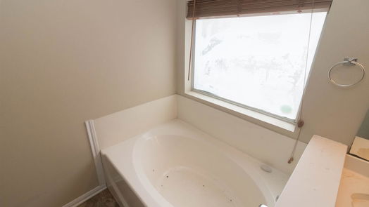 Spring null-story, 3-bed 25015 Birnam Wood Boulevard-idx