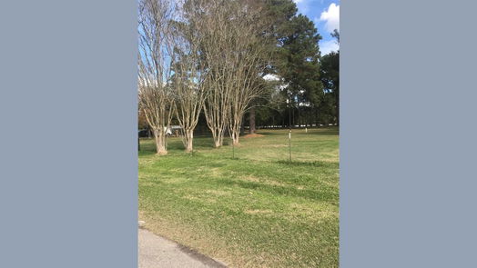 Spring null-story, 2-bed 27814 Jean Street-idx