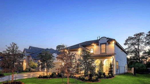 Tomball 2-story, 5-bed 27 Floral Vista Drive-idx