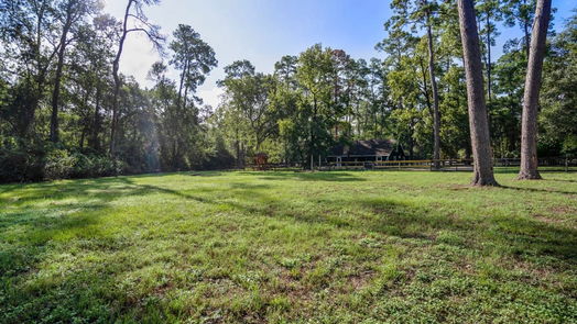 Tomball 1-story, 4-bed 8702 Dogwood Drive-idx