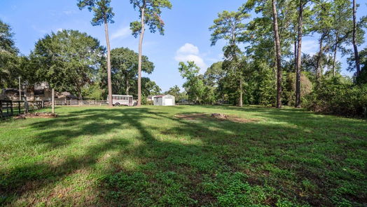 Tomball 1-story, 4-bed 8702 Dogwood Drive-idx