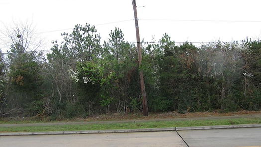 Tomball null-story, null-bed 0 Johnson Road-idx