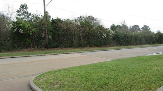 Tomball null-story, null-bed 0 Johnson Road-idx