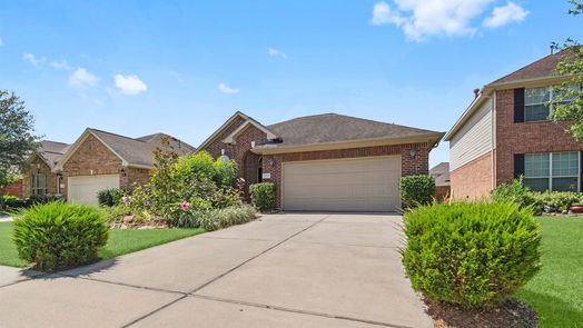 Tomball 1-story, 3-bed 8815 Rollick Drive-idx