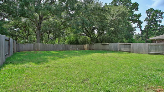 Tomball 1-story, 4-bed 9619 Paloma Creek Drive-idx