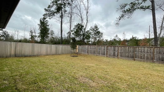 Tomball 1-story, 4-bed 51 Perennial Canyon-idx