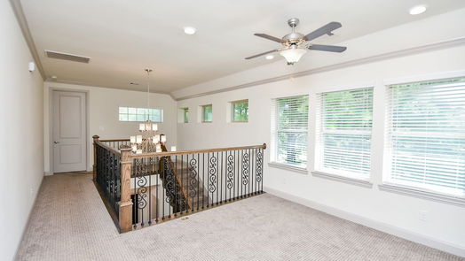 Tomball 2-story, 3-bed 80 Blissful Ridge Court-idx