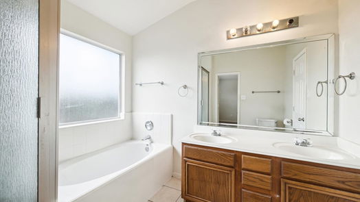 Tomball 2-story, 4-bed 20327 Mossey Forest Court-idx