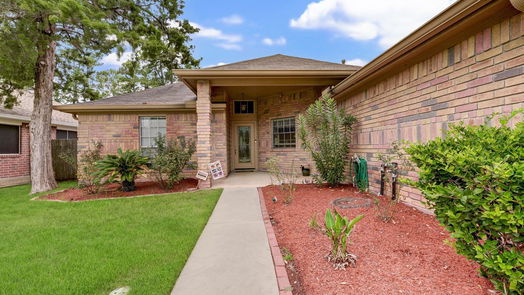 Tomball 1-story, 3-bed 22418 Mosswillow Lane-idx