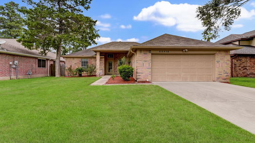 Tomball 1-story, 3-bed 22418 Mosswillow Lane-idx