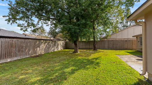 Tomball null-story, 3-bed 22930 Green Bark Street-idx