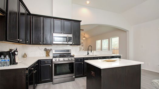 Tomball null-story, 3-bed 17603 Memorial Falls-idx