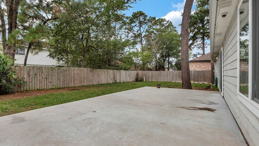 Tomball 1-story, 3-bed 22819 River Birch Drive-idx