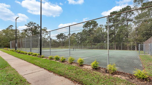 Tomball 1-story, 3-bed 22819 River Birch Drive-idx