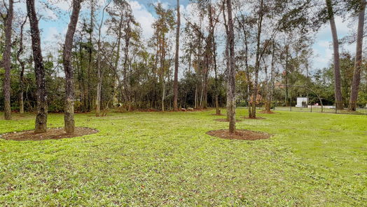 Tomball 1-story, 4-bed 25114 Ashley Trace Court-idx
