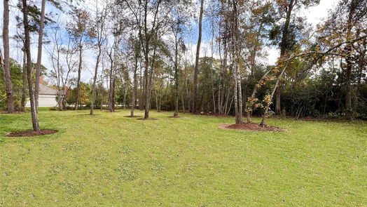 Tomball 1-story, 4-bed 25114 Ashley Trace Court-idx