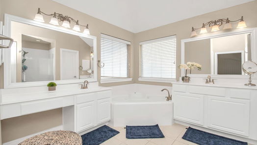 Tomball null-story, 3-bed 12002 Mariposa Canyon Drive-idx
