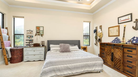 Tomball 1-story, 3-bed 16218 Jordyn Lake Drive-idx