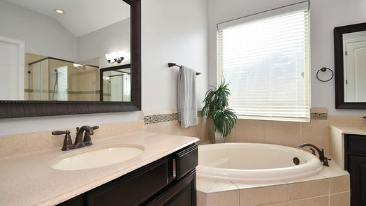 Tomball 1-story, 3-bed 22307 Pine Tree Drive-idx