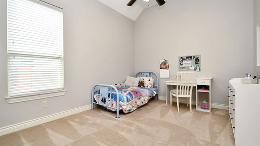 Tomball 1-story, 3-bed 22307 Pine Tree Drive-idx