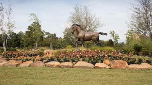 Tomball 1-story, 5-bed 20 Sacred Haven Circle-idx