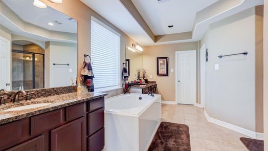 Tomball 2-story, 4-bed 17615 Fritz Falls Court-idx